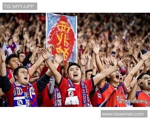 深圳足球队实力引发热议球迷观点分歧引关注