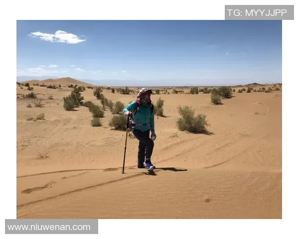 深度探讨李秀英在DOTA2世界中的成长与挑战之旅