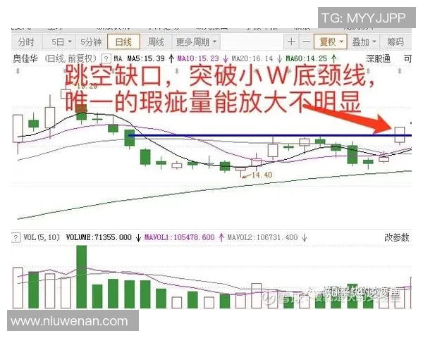乒乓球战术解析：探秘北京乒乓球队的防守反击体系与实战应用